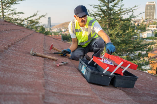 Best Hoarding Cleanup  in Lifornia City, CA