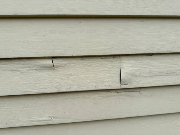 Best Construction Debris Removal  in Lifornia City, CA